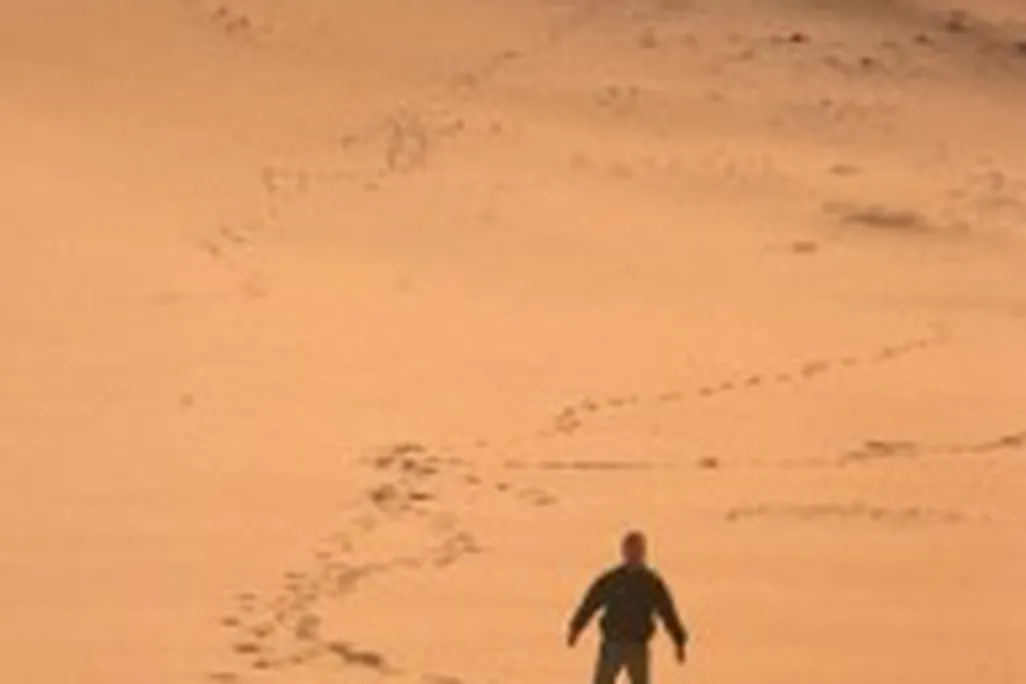 20110520102248lostinthedesert-195x300.jpg