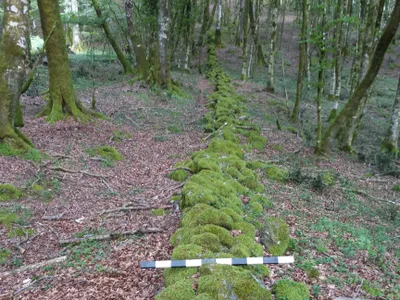 The ancient wall was discovered in a forest in southern Italy.