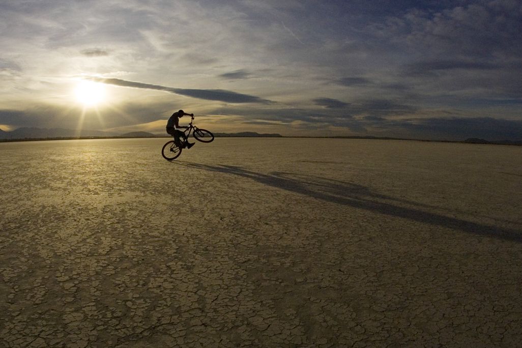 Wheelie
