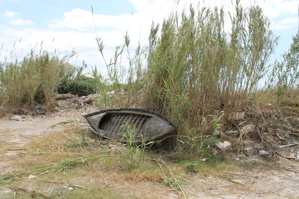 Nature reclaiming a forgotten vessel in La Albufera National Park. thumbnail