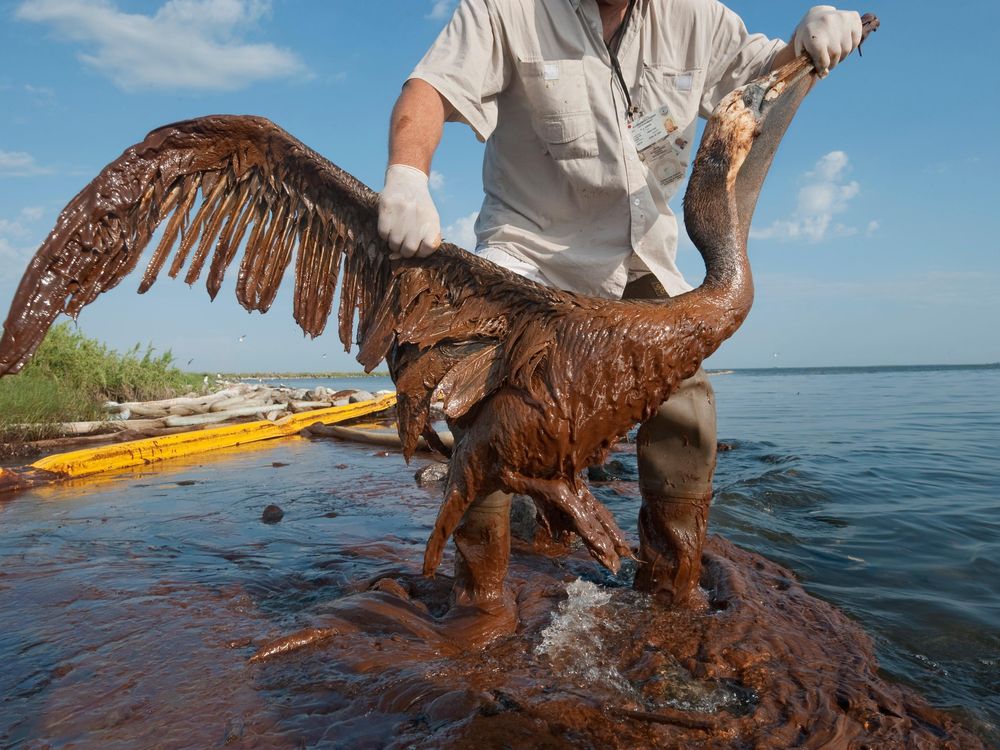 The Gulf Oil Spill Isn’t Really Over, Even Five Years Later