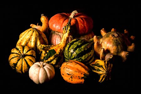 Gourds come in all shapes and sizes—some sweet and delicious, some stiff and bitter, and some that are just plain odd. 