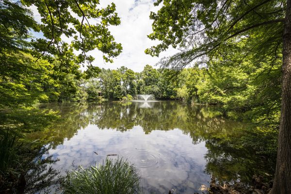 The San Antonio Garden Mirror: Pond Reflections in Summer thumbnail