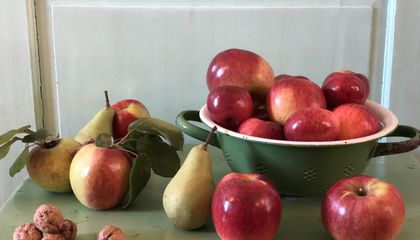 Fill Your Visual Cornucopia With These 15 Satisfying Photos of Favorite Fall Fruits
