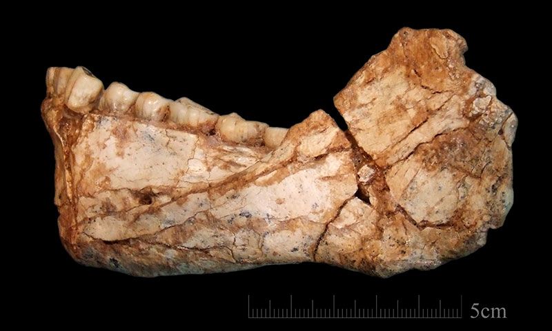 Humans Evolved 100,000 Years Earlier Than We Thought—But Mysteries Remain