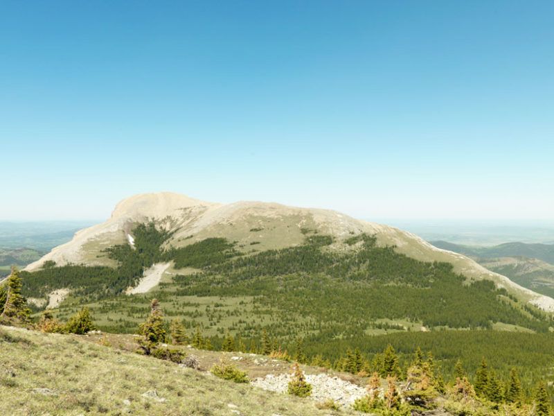 Pictured: Protected land near Crowsnest Pass, Alberta