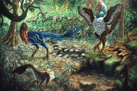 Paleontologists have recognized three related, parrot-like dinosaurs in the Hell Creek Formation. Eoneophron infernalis&nbsp;(top left) walks by MOR 752 (bottom left) and&nbsp;Anzu wyliei&nbsp;(right).