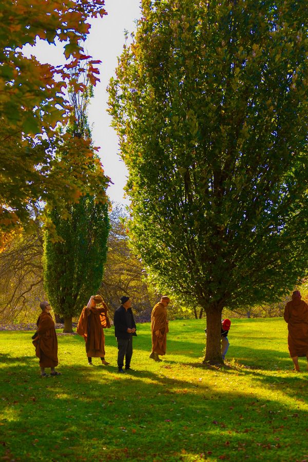 Monks in Madison! thumbnail