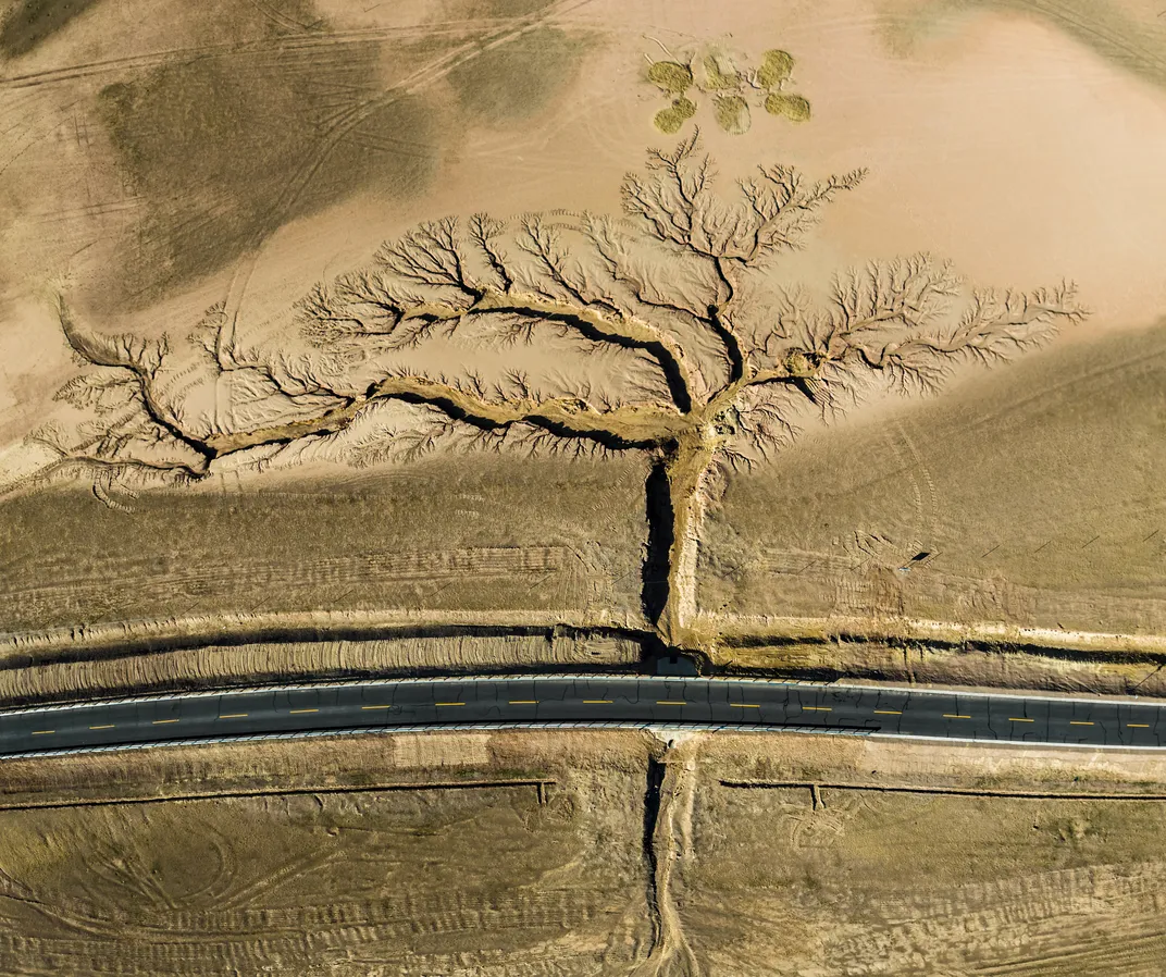 An aerial view of gullies branching like a tree along a road