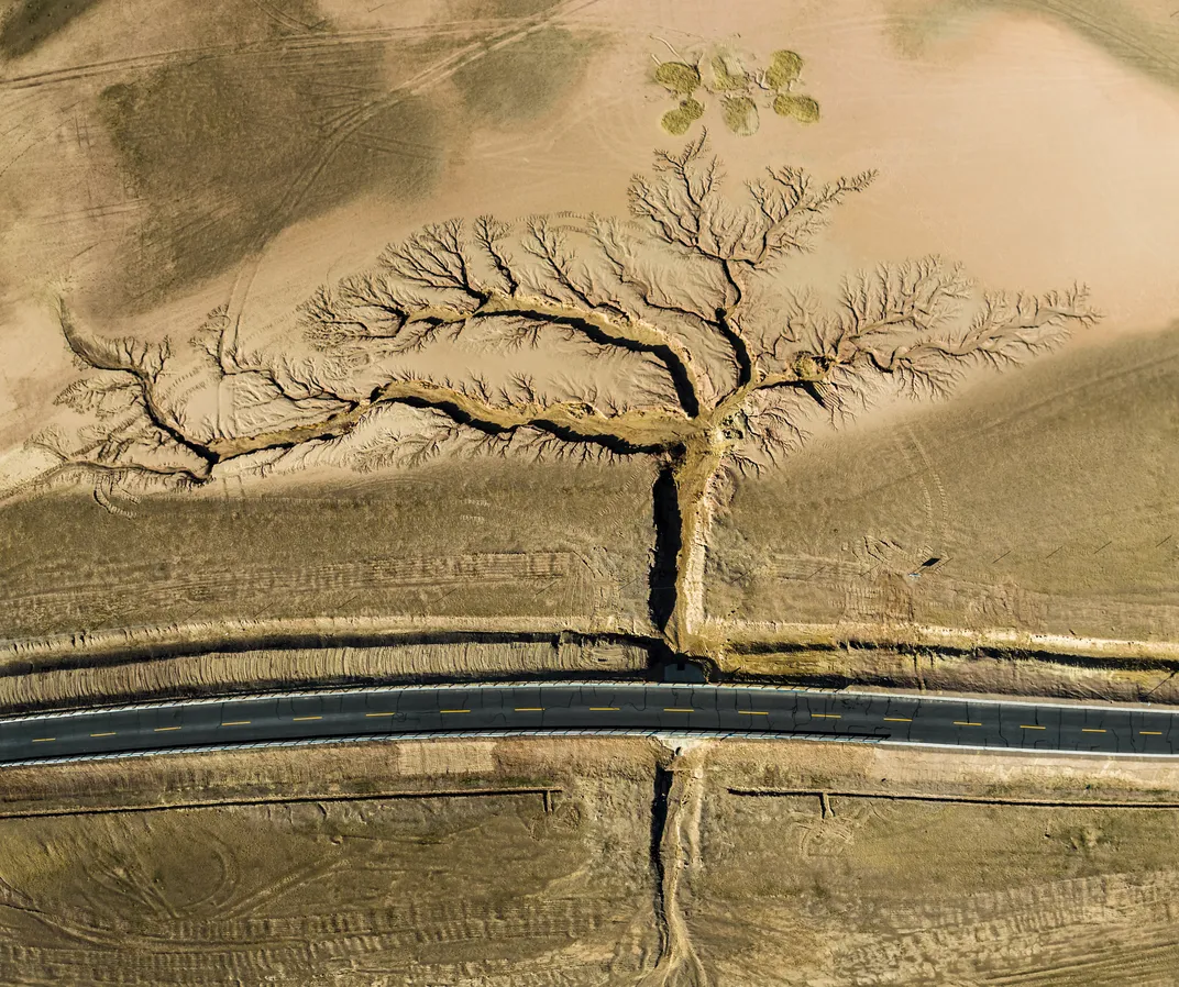 鸟瞰图，溪谷像树一样沿着道路分叉