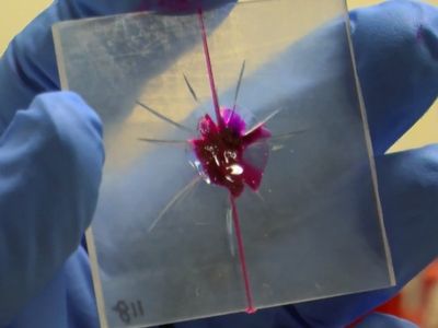 Researchers at the University of Illinois are developing plastic that can heal damage on its own.