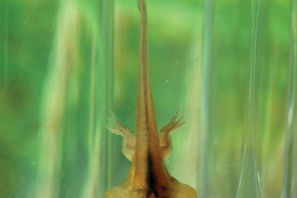 science_mag_cover.jpg