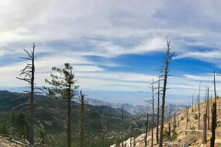 In the Catalina Mountains in southern Arizona, forests struggle to keep up with recent increases in drought and wildfire activity, which are expected to continue due to human-caused climate change.
