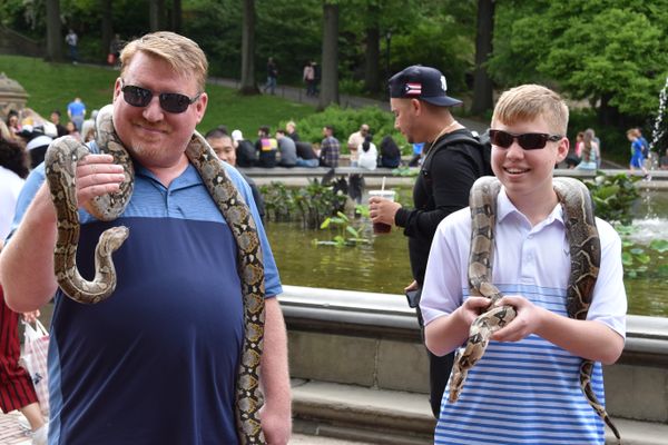 Father and son with snakes in Central Park.  Taken with a Nikon D5600. thumbnail