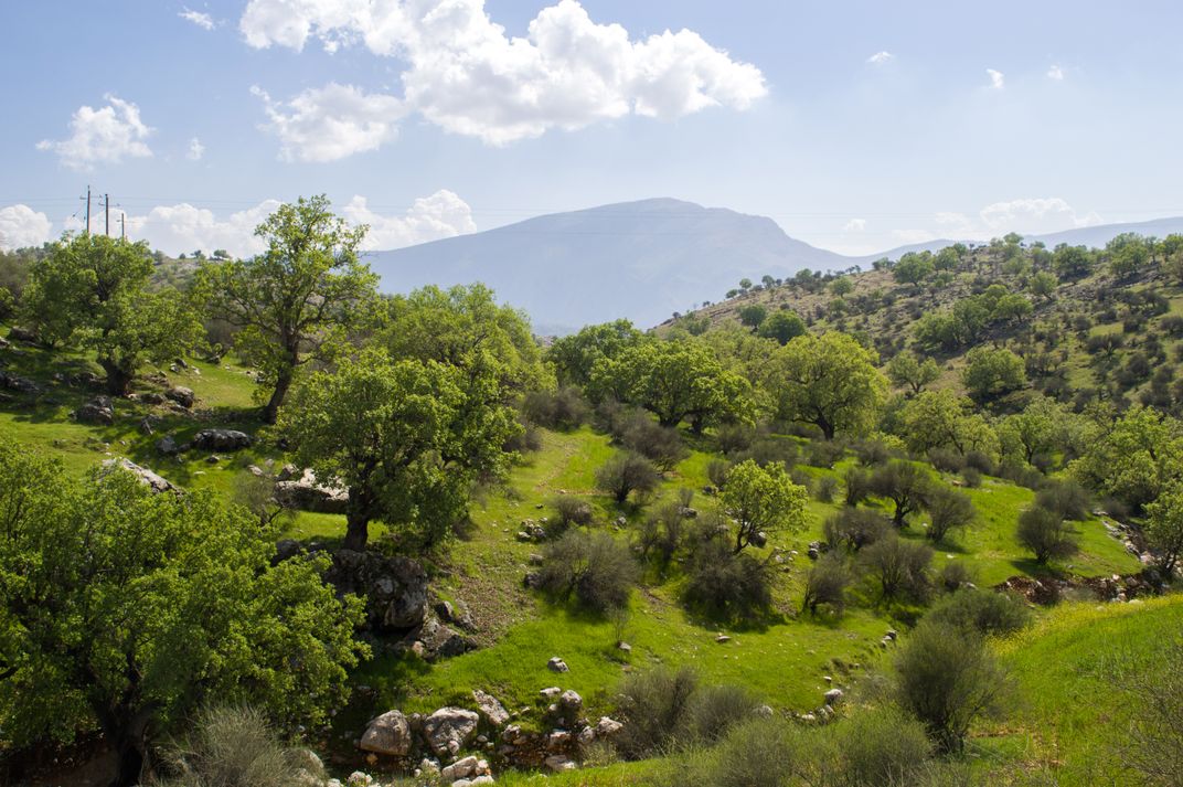A calm day in Zagros | Smithsonian Photo Contest | Smithsonian Magazine