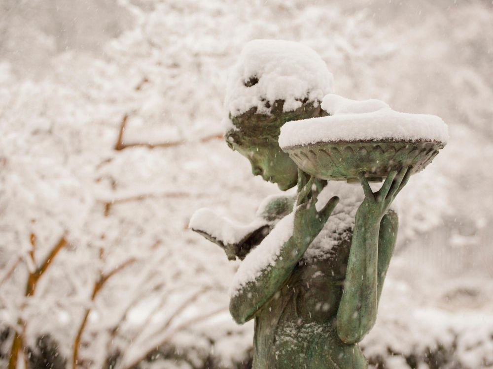 Central Park Statue