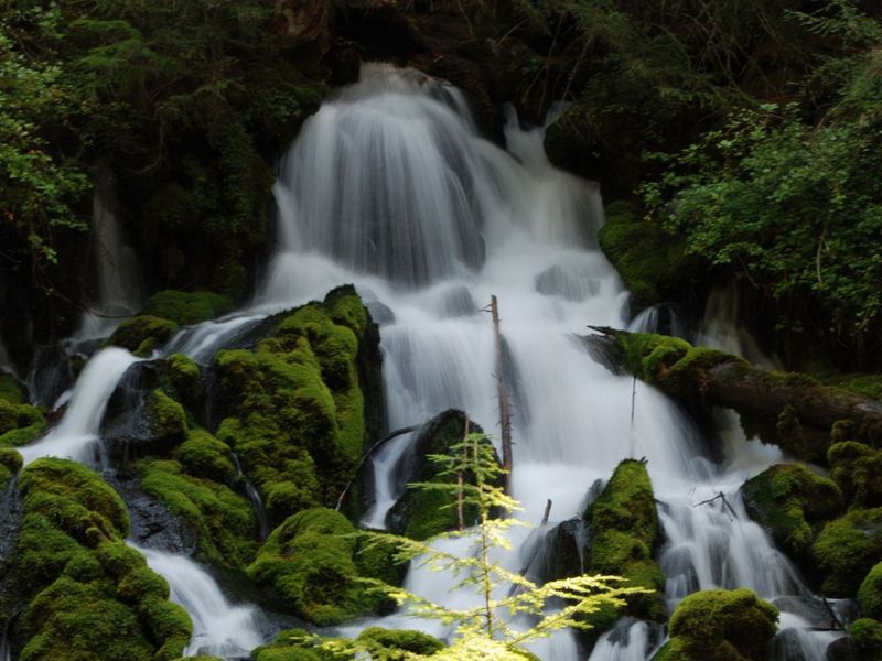 Clearwater Falls Smithsonian Photo Contest Smithsonian Magazine