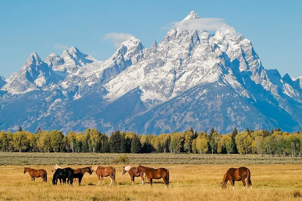 GrandTeton.jpg