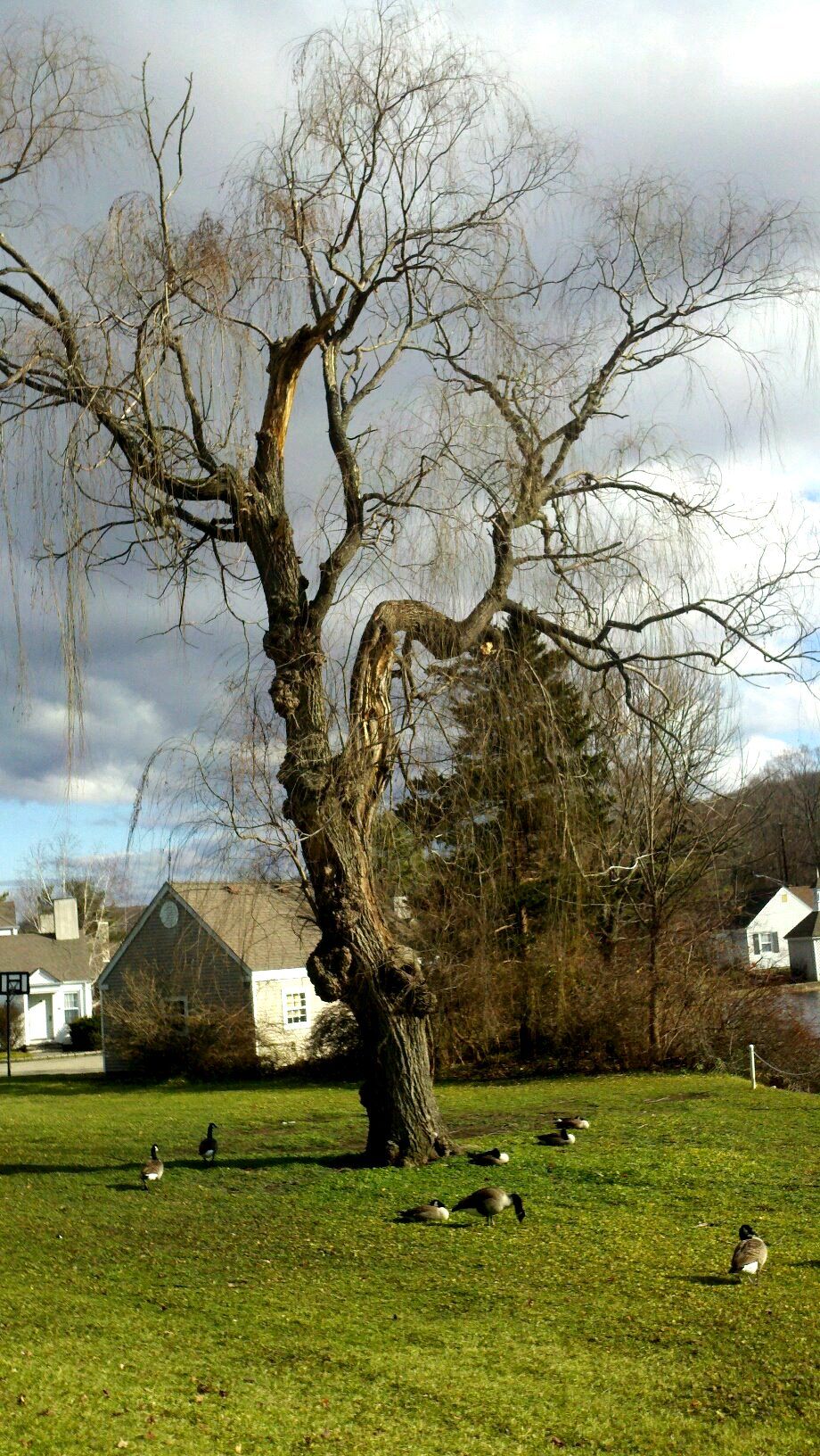 Panther Valley, Allamuchy, NJ Smithsonian Photo Contest Smithsonian