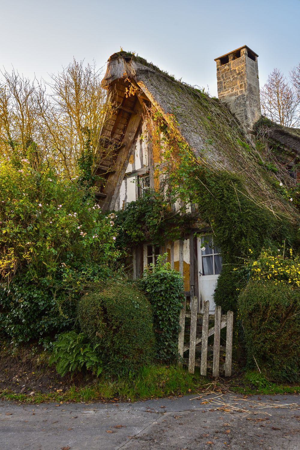 A traditional half-timbered, straw-thatched house in France's Normandy region. I came across it at the perfect time, with a late autumn sun just setting on it, and yet the moment feels more aptly described as out of time – as though I had stumbled into a fairy tale. All was feel, and it didn’t feel real.