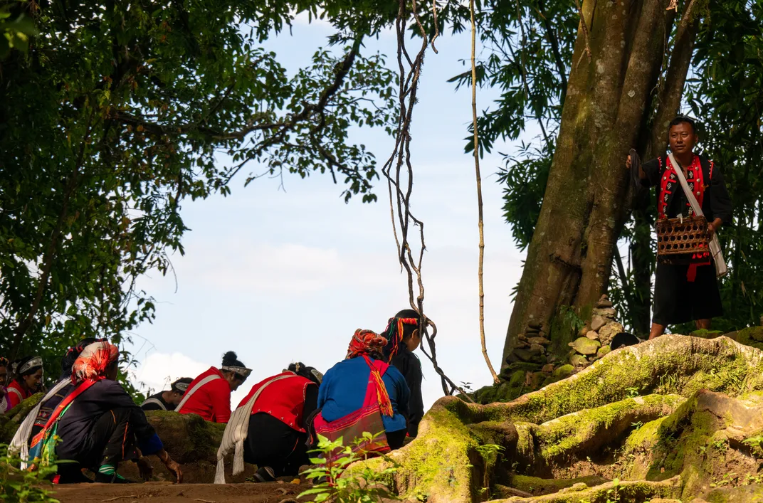 Worship the sacred tree | Smithsonian Photo Contest | Smithsonian Magazine