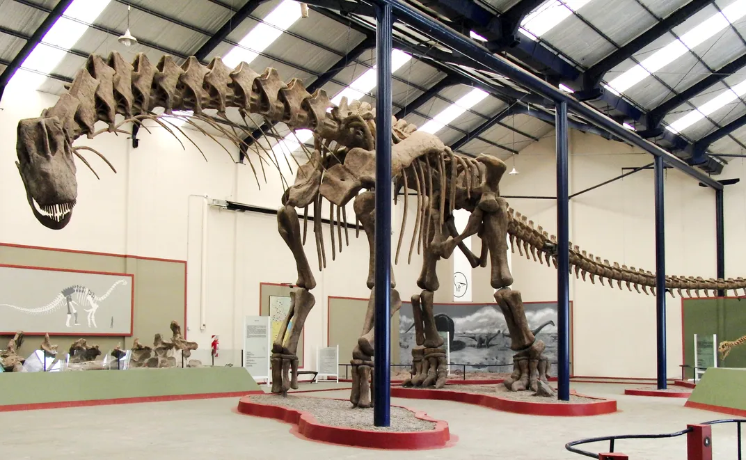 a dinosaur skeleton in a museum shows a long neck and tail