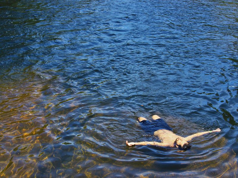 As he floated gently in the water | Smithsonian Photo Contest ...