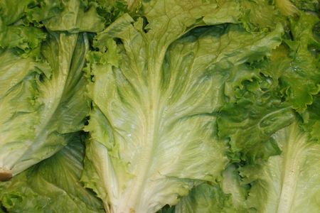 Romaine lettuce was recently affected by an E. coli outbreak