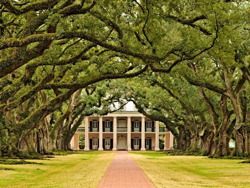 Oak Alley Plantation - Louisiana | Smithsonian Photo Contest ...