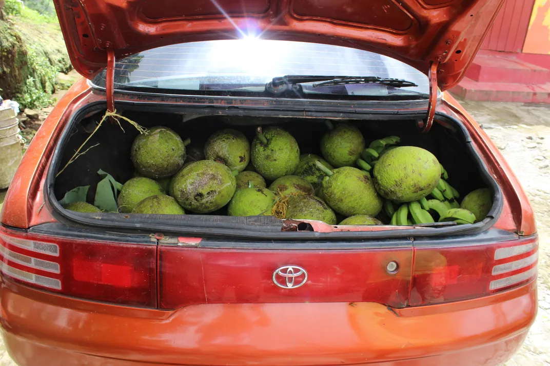 Breadfruit in a car