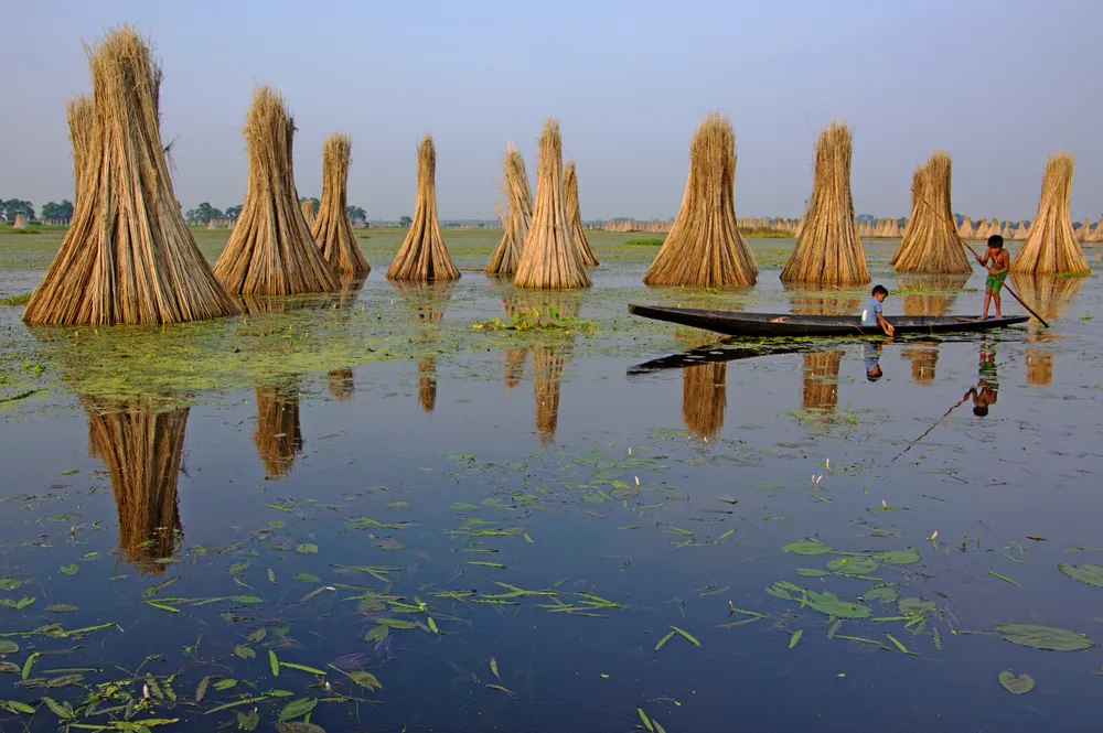 Two children are traveling by a tiny boat in a shallow lake where jute stalking bundles are standing with reflection in the afternoon.