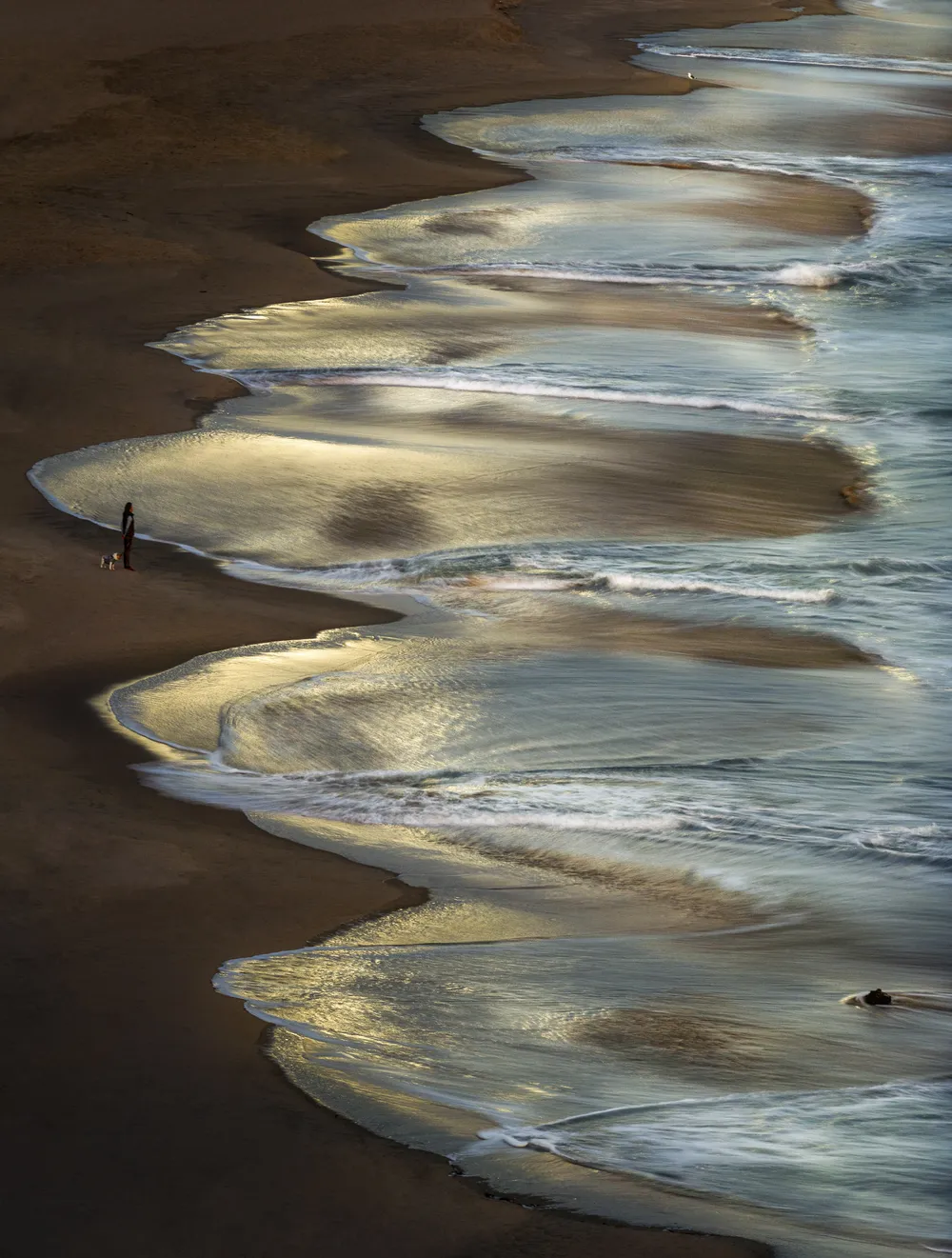 The woman alone with her pet was standing in front of waves periods in the beach of Corona Del Mar, Southern California, in a very early morning when the sun was going to up and the moon light still shining. The calmness covered all around.