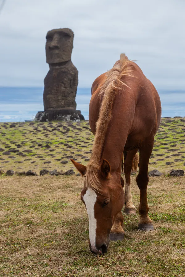 Wild Horse and Moai thumbnail