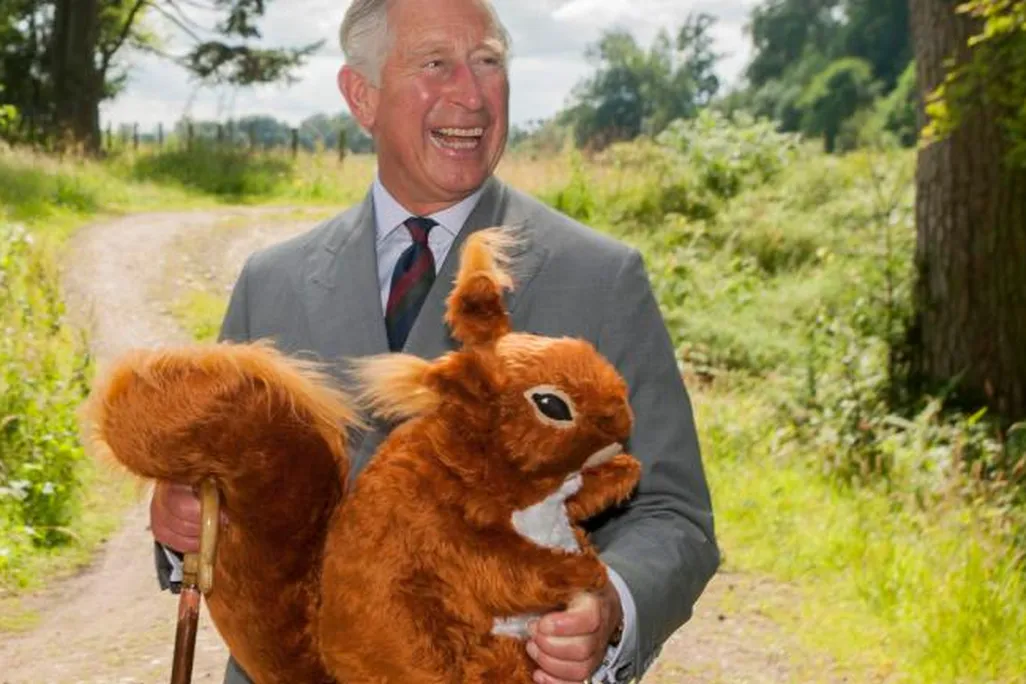 Prince Charles Squirrel