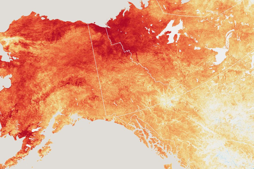 Alaska Heat
