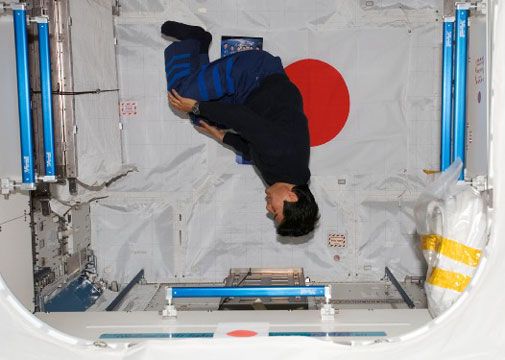 doi-0321-505.jpg
