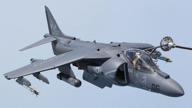 Harrier 620.jpg