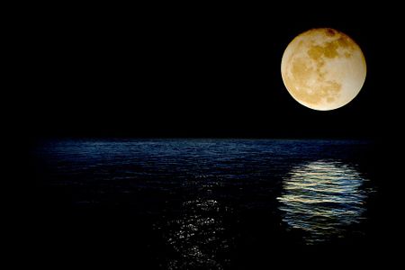 If water once existed on the lunar surface for extended periods, could life have found a foothold?