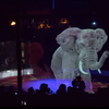 A German Circus Uses Stunning Holograms Instead of Live Animal Performers icon