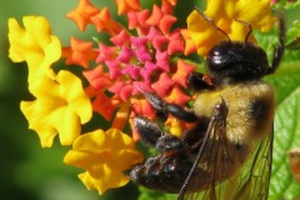 201105201024262923728081_8c78210921-240x300.jpg