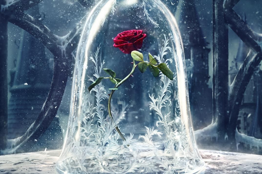Beauty and the Beast LuLaRoe Disney Roses