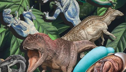 The Top Ten Dinosaur Discoveries of 2022