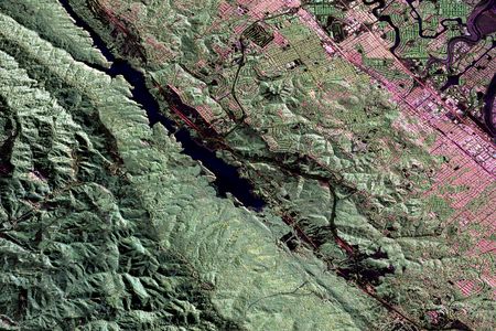 The San Andreas fault near San Francisco Bay is visible as a distinctive trough in this false-color radar image. And there's life nearby.