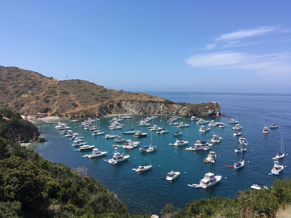 A photo of the coast of Santa Catalina Island on California's southern coast