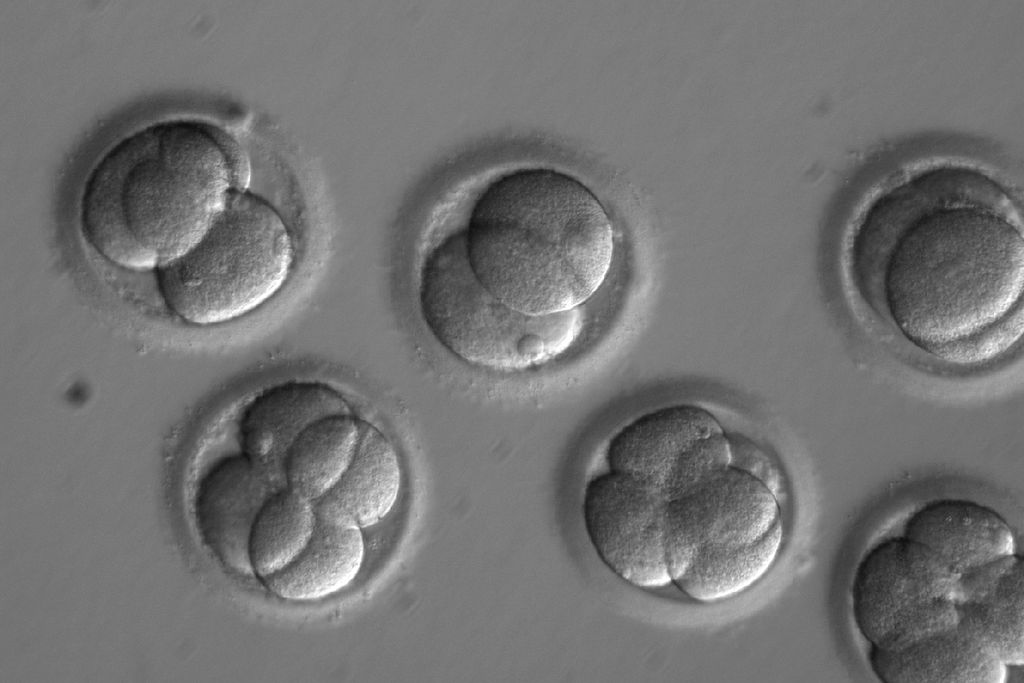 CRISPR