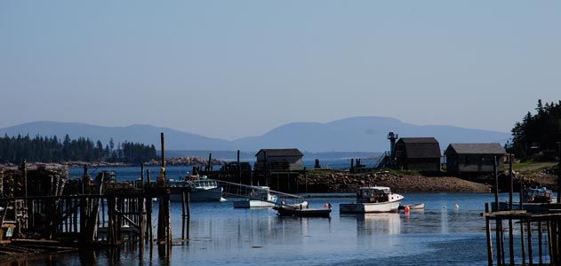 Lunt Harbor