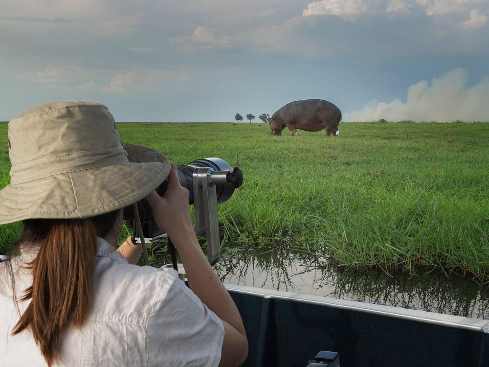 tourist in Botswana