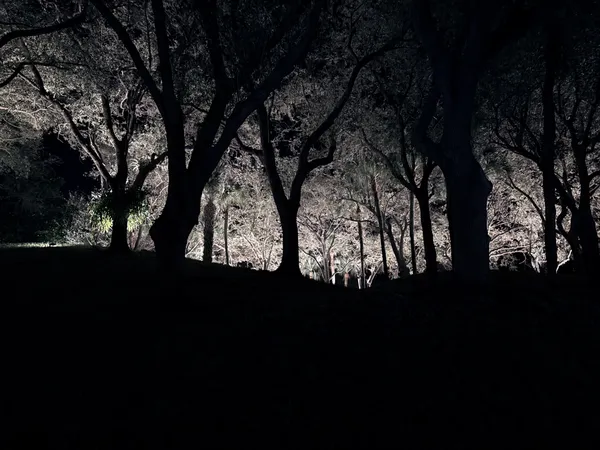 When the Darkness Breathes thumbnail