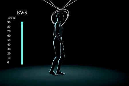 A visualization of the harness.