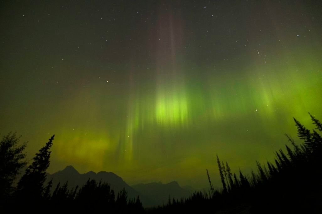 The green glow of the northern lights seen above trees